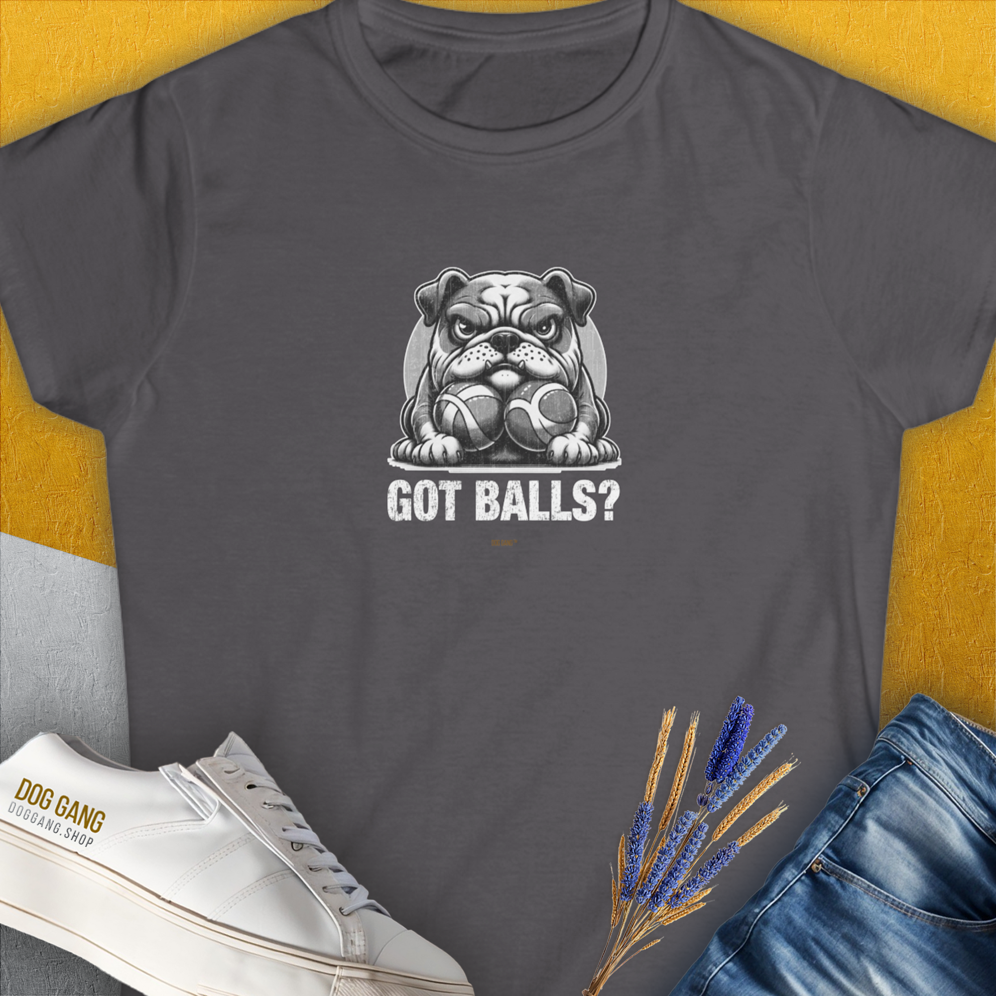 Got Balls? Volume 4, Women's T-Shirt-Charcoal. A dog-themed Design from Dog Gang