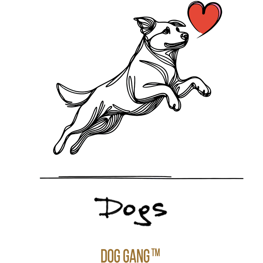 A T-Shirt Design Graphic from Dog Gang (TM) shows a minimalistically drawn jumping dog, with a red heart and the handwritten word Dogs