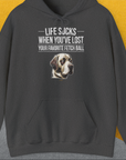 Life Sucks When You've Lost Your Favorite Fetch Ball, Volume 1, Unisex Hoodie-Dark Heather-bequemes Shirt mit lustigem Spruch für Hundebesitzer, Design by Dog Gang