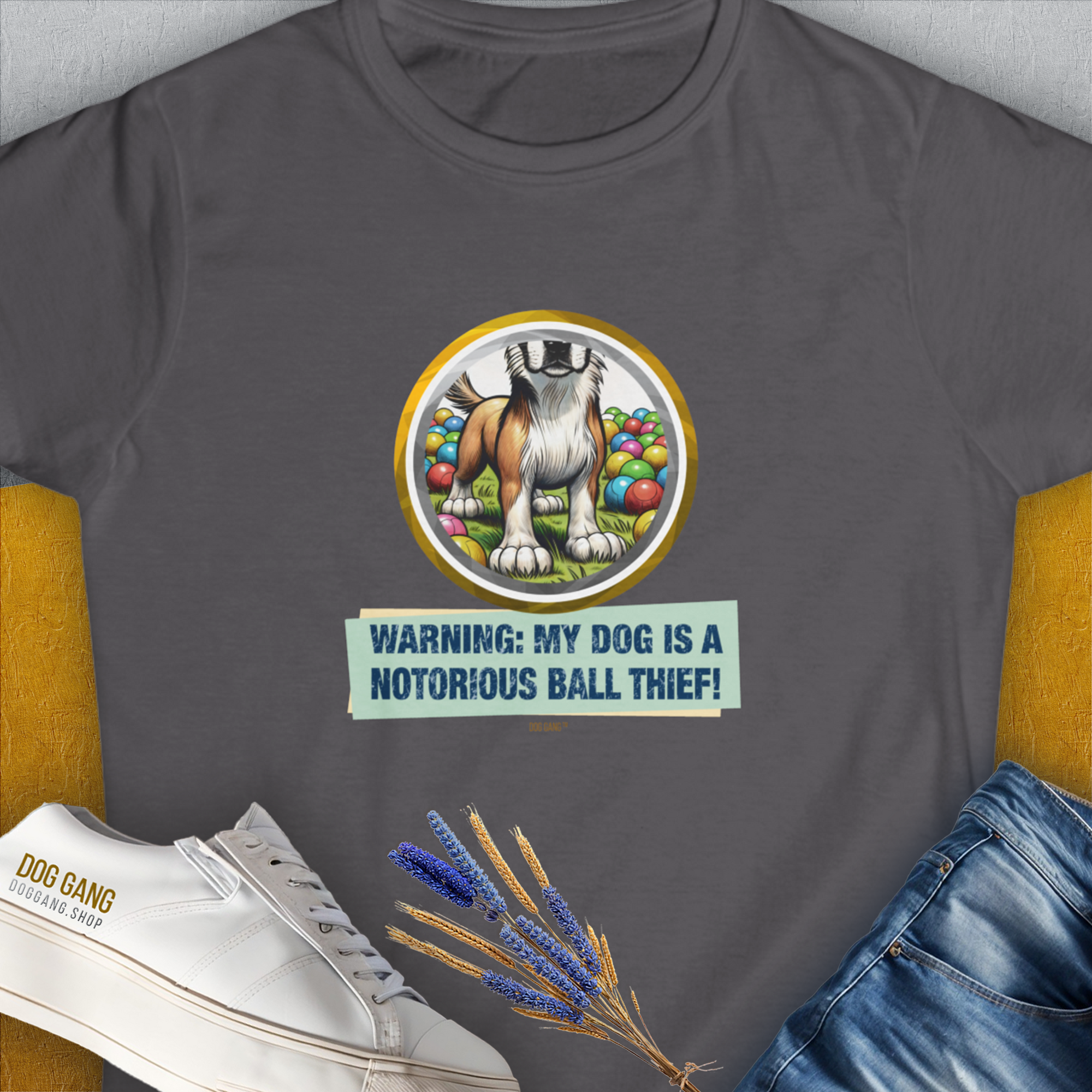 A charcoal womens tee with a cartoon dog guarding balls and text Warning: My Dog Is A Notorious Ball Thief, Volume 2, perfect for the dog lover. Designed by Dog Gang.