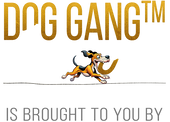 Dog Gang is a service of Brandscale Sagl, Switzerland