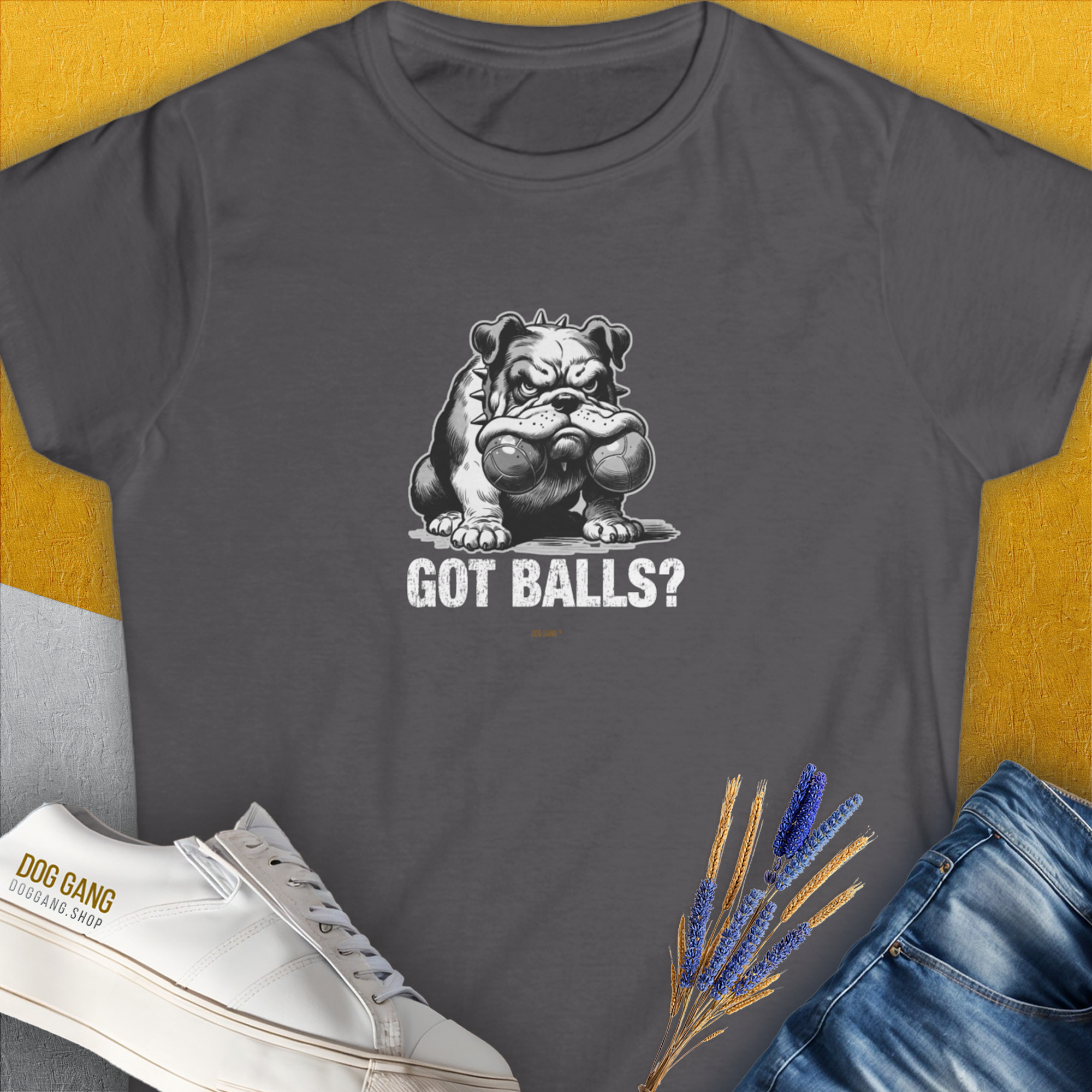 Got Balls? Volume 3, Women's T-Shirt-Charcoal. A dog-themed Design from Dog Gang