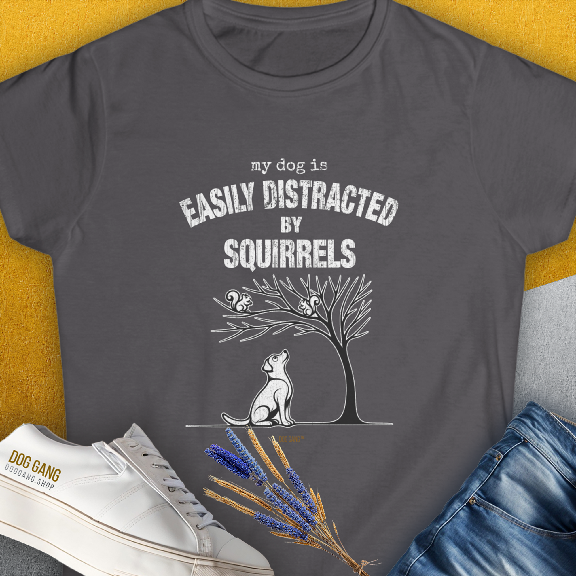 My Dog Is Easily Distracted By - Volume 1: Squirrels, Women's T-Shirt-Charcoal. A dog-themed Design from Dog Gang