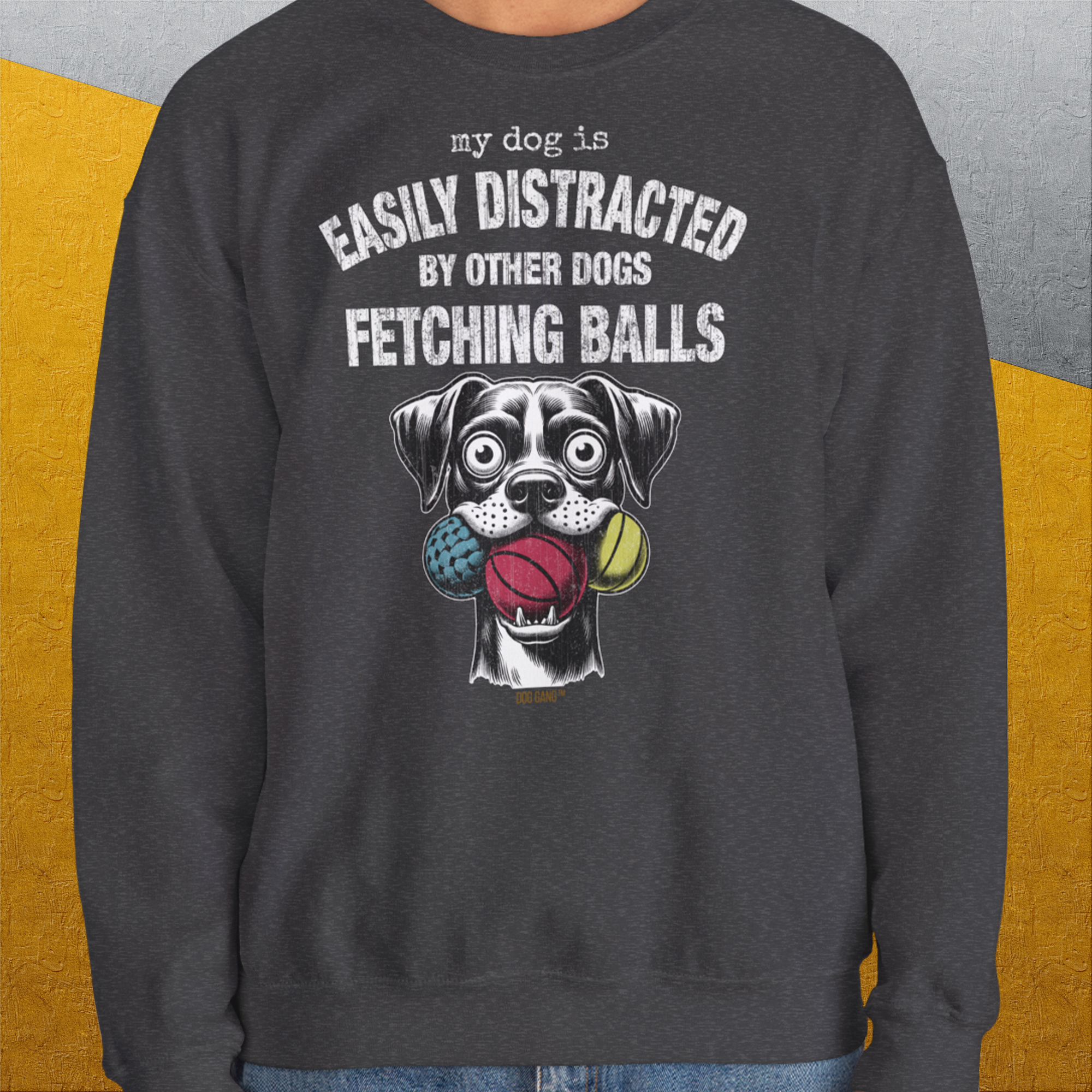 My Dog Is Easily Distracted By - Volume 4: Other Dogs Fetching Balls, Unisex Sweatshirt-, Design by Dog Gang