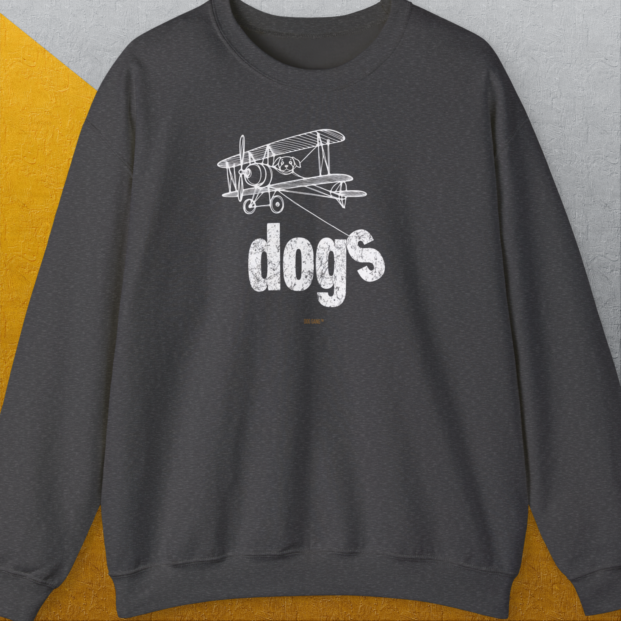 White biplane outline above the word dogs for a vintage design. Designed by Dog Gang.